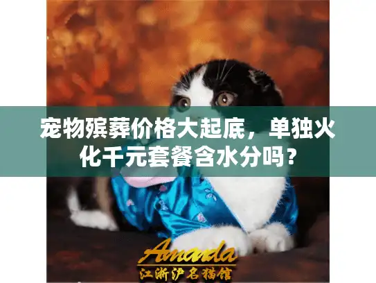 宠物殡葬价格大起底，单独火化千元套餐含水分吗？