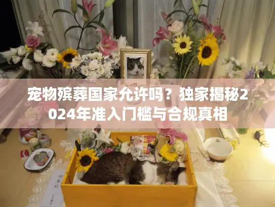 宠物殡葬国家允许吗？独家揭秘2024年准入门槛与合规真相