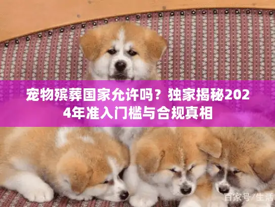 宠物殡葬国家允许吗？独家揭秘2024年准入门槛与合规真相