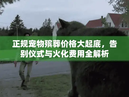 正规宠物殡葬价格大起底，告别仪式与火化费用全解析