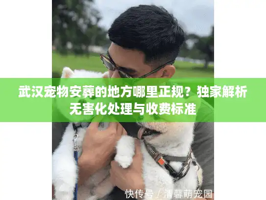 武汉宠物安葬的地方哪里正规？独家解析无害化处理与收费标准