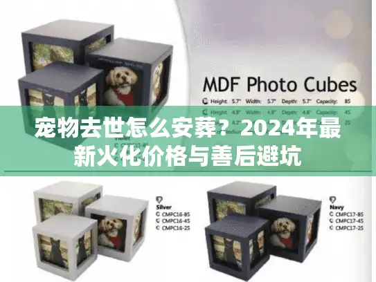 宠物去世怎么安葬？2024年最新火化价格与善后避坑