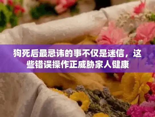 狗死后最忌讳的事不仅是迷信，这些错误操作正威胁家人健康