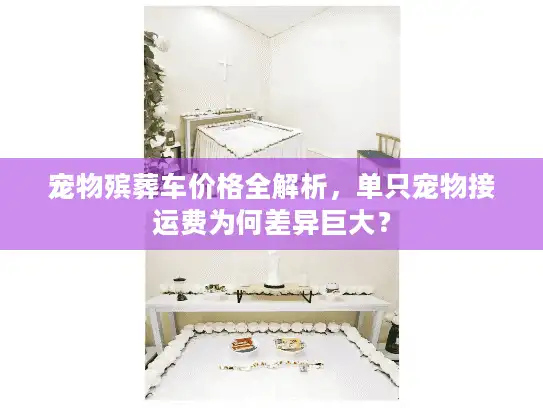宠物殡葬车价格全解析，单只宠物接运费为何差异巨大？