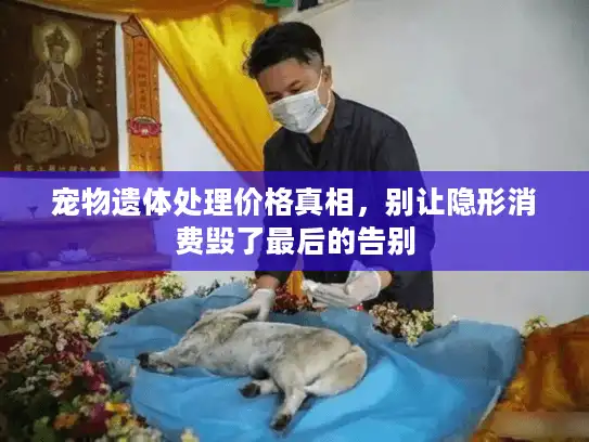 宠物遗体处理价格真相，别让隐形消费毁了最后的告别