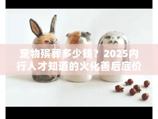 宠物殡葬多少钱？2025内行人才知道的火化善后底价与避坑清单