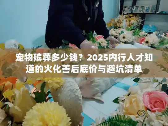 宠物殡葬多少钱？2025内行人才知道的火化善后底价与避坑清单