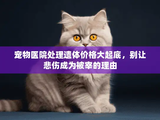 宠物医院处理遗体价格大起底，别让悲伤成为被宰的理由