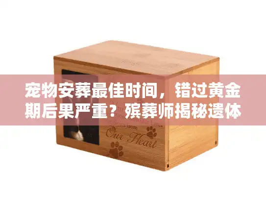 宠物安葬最佳时间，错过黄金期后果严重？殡葬师揭秘遗体处理红线