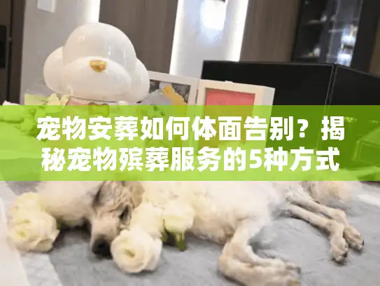 宠物安葬如何体面告别？揭秘宠物殡葬服务的5种方式与价格内幕
