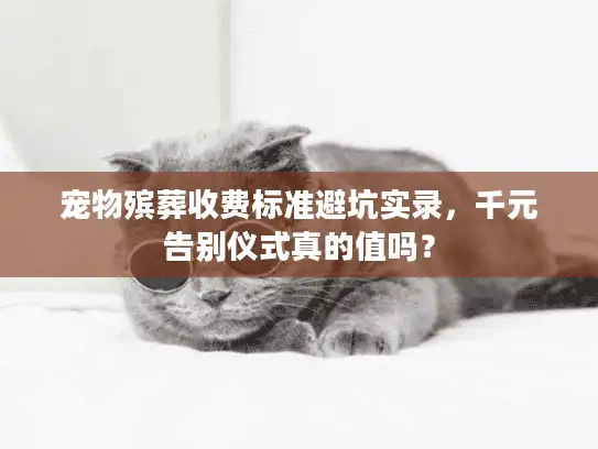 宠物殡葬收费标准避坑实录，千元告别仪式真的值吗？