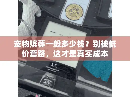 宠物殡葬一般多少钱？别被低价套路，这才是真实成本