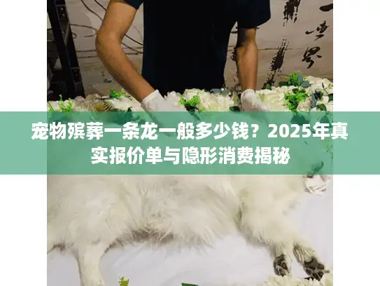 宠物殡葬一条龙一般多少钱？2025年真实报价单与隐形消费揭秘