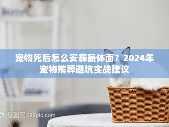 宠物死后怎么安葬最体面？2024年宠物殡葬避坑实战建议