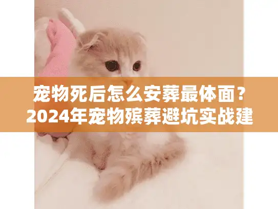 宠物死后怎么安葬最体面？2024年宠物殡葬避坑实战建议