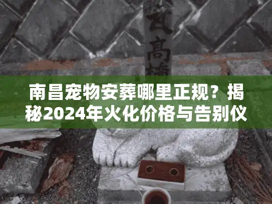 南昌宠物安葬哪里正规？揭秘2024年火化价格与告别仪式避坑实况