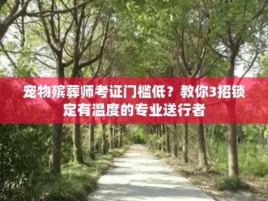 宠物殡葬师考证门槛低？教你3招锁定有温度的专业送行者