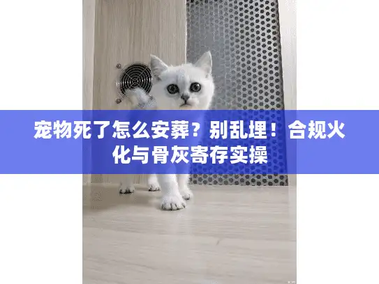 宠物死了怎么安葬？别乱埋！合规火化与骨灰寄存实操