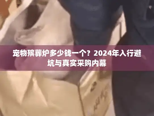 宠物殡葬炉多少钱一个？2024年入行避坑与真实采购内幕