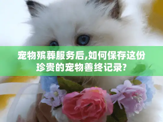 宠物殡葬服务后,如何保存这份珍贵的宠物善终记录?