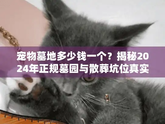 宠物墓地多少钱一个？揭秘2024年正规墓园与散葬坑位真实差价