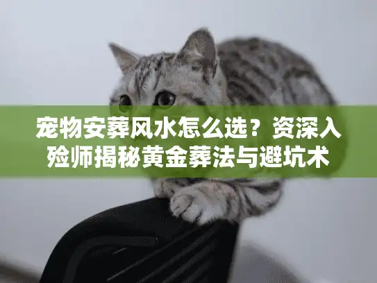 宠物安葬风水怎么选？资深入殓师揭秘黄金葬法与避坑术