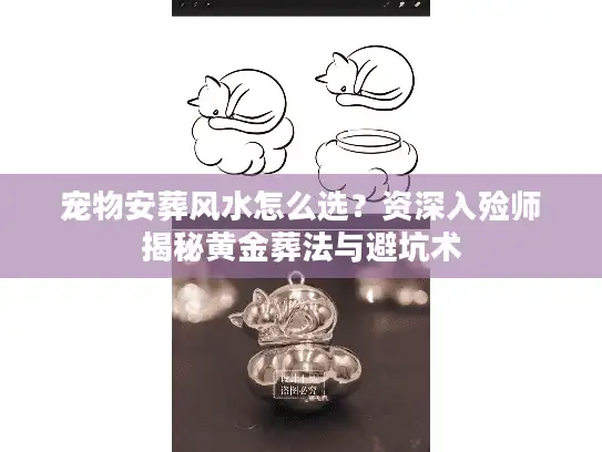 宠物安葬风水怎么选？资深入殓师揭秘黄金葬法与避坑术