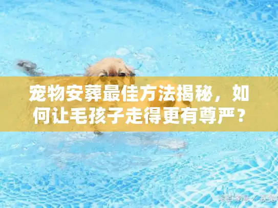 宠物安葬最佳方法揭秘，如何让毛孩子走得更有尊严？
