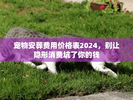 宠物安葬费用价格表2024，别让隐形消费坑了你的钱