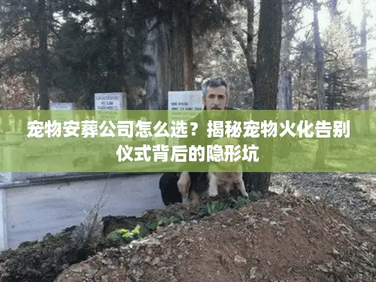 宠物安葬公司怎么选？揭秘宠物火化告别仪式背后的隐形坑