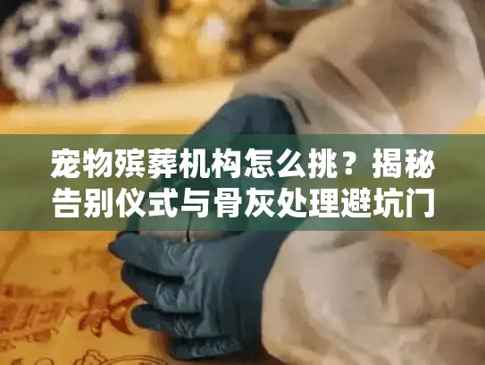 宠物殡葬机构怎么挑？揭秘告别仪式与骨灰处理避坑门道