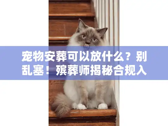 宠物安葬可以放什么？别乱塞！殡葬师揭秘合规入殓清单