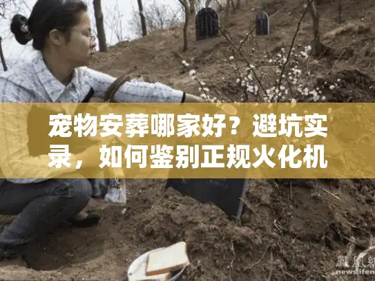 宠物安葬哪家好？避坑实录，如何鉴别正规火化机构