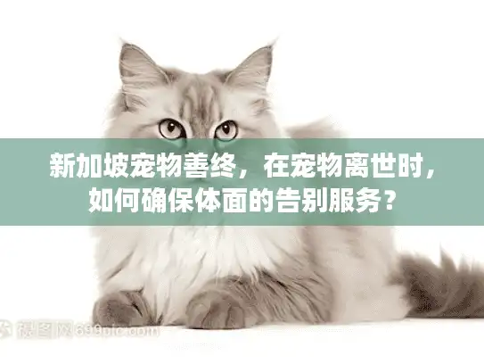 新加坡宠物善终，在宠物离世时，如何确保体面的告别服务？