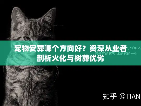 宠物安葬哪个方向好？资深从业者剖析火化与树葬优劣