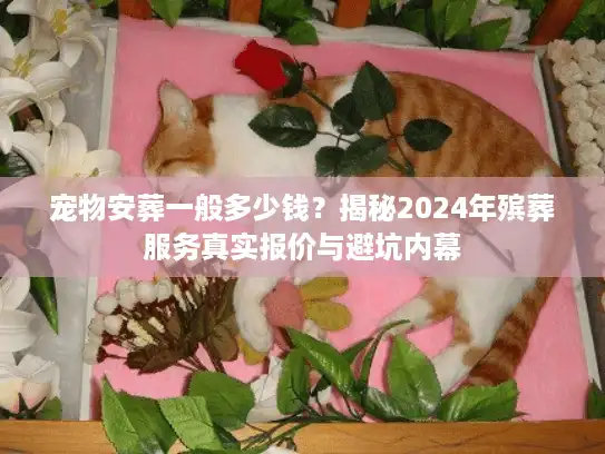 宠物安葬一般多少钱？揭秘2024年殡葬服务真实报价与避坑内幕