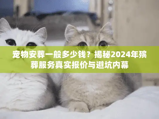 宠物安葬一般多少钱？揭秘2024年殡葬服务真实报价与避坑内幕