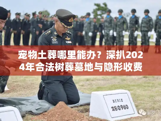 宠物土葬哪里能办？深扒2024年合法树葬墓地与隐形收费