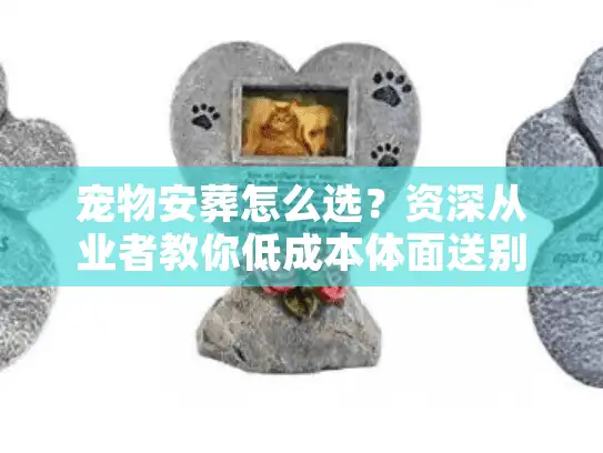 宠物安葬怎么选？资深从业者教你低成本体面送别爱宠