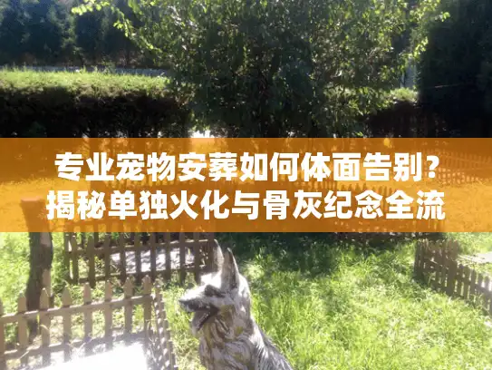 专业宠物安葬如何体面告别？揭秘单独火化与骨灰纪念全流程
