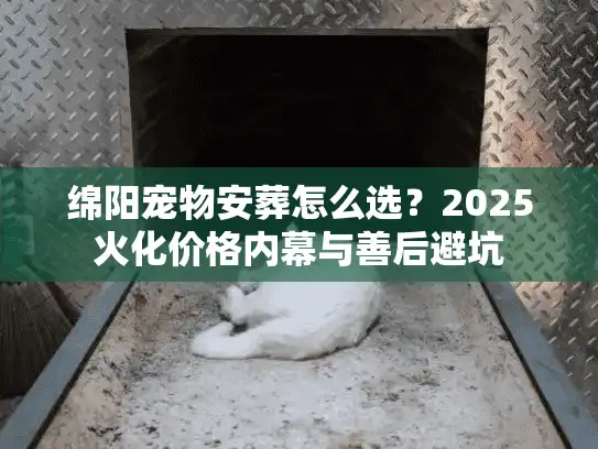 绵阳宠物安葬怎么选？2025火化价格内幕与善后避坑