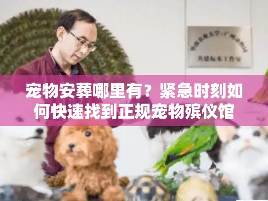 宠物安葬哪里有？紧急时刻如何快速找到正规宠物殡仪馆