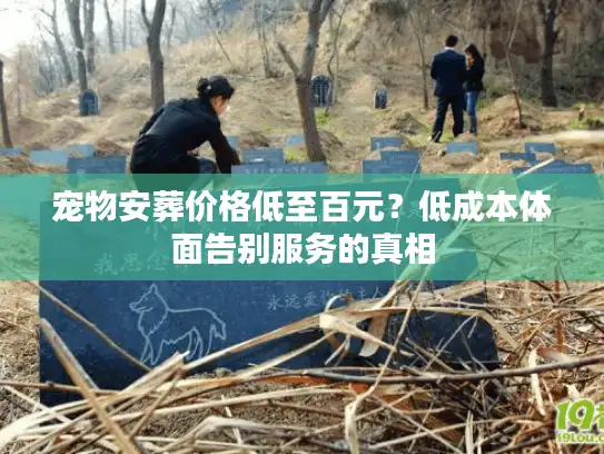宠物安葬价格低至百元？低成本体面告别服务的真相
