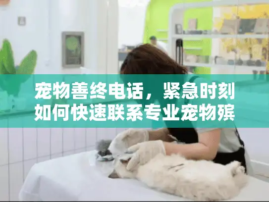 宠物善终电话，紧急时刻如何快速联系专业宠物殡葬服务电话？