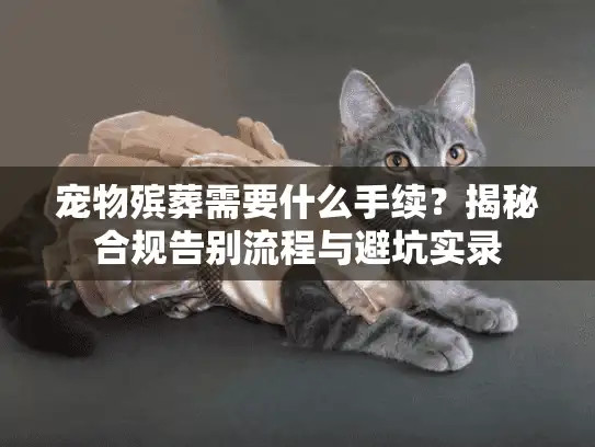 宠物殡葬需要什么手续？揭秘合规告别流程与避坑实录
