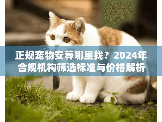 正规宠物安葬哪里找？2024年合规机构筛选标准与价格解析