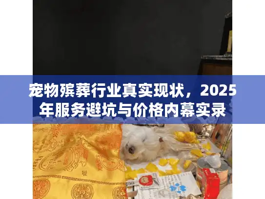 宠物殡葬行业真实现状，2025年服务避坑与价格内幕实录
