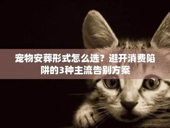 宠物安葬形式怎么选？避开消费陷阱的3种主流告别方案