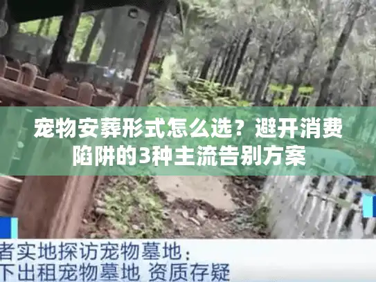 宠物安葬形式怎么选？避开消费陷阱的3种主流告别方案