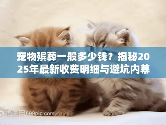 宠物殡葬一般多少钱？揭秘2025年最新收费明细与避坑内幕